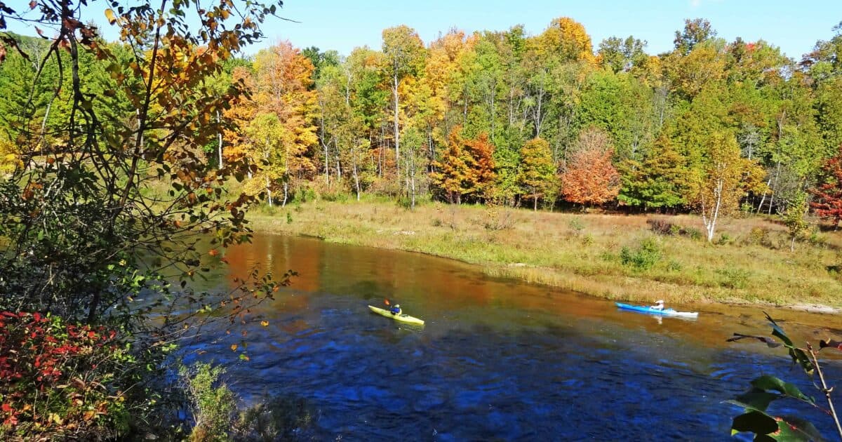 Trails and trees in Huron National Forest