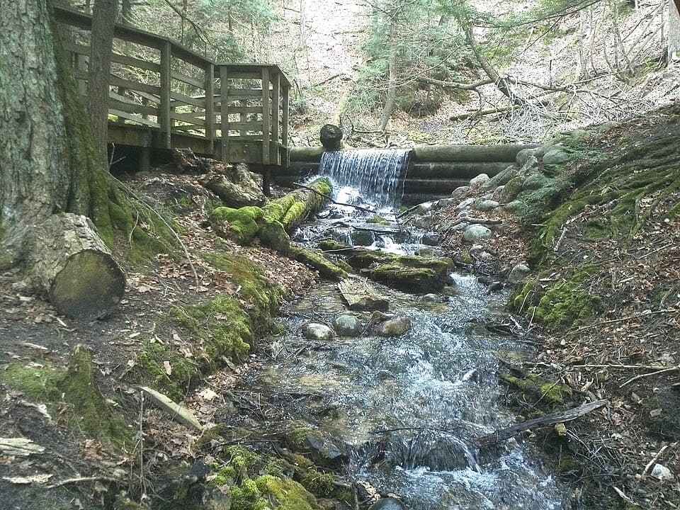 Crystal-clear Large Springs surrounded by forest